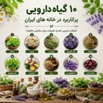 ۱۰ گیاه دارویی پرکاربرد در خانه‌های ایران