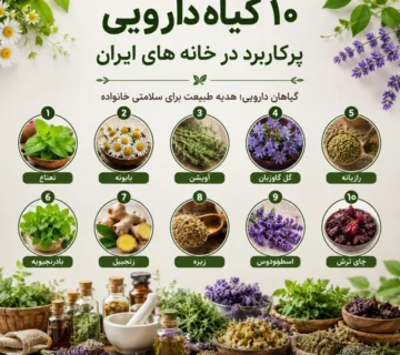 ۱۰ گیاه دارویی پرکاربرد در خانه‌های ایران